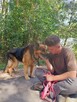 Owczarek niemiecki Axel szuka domu na zawsze 8l. 30kg - 7