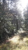 Sprzedam - 6
