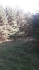 Sprzedam - 4