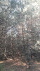Sprzedam - 12