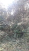 Sprzedam - 5