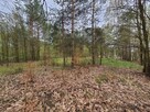 WEŁMIN - DZIAŁKA POD BUDOWĘ DOMU 5100 m2 - 2