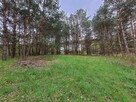 WEŁMIN - DZIAŁKA POD BUDOWĘ DOMU 5100 m2 - 7