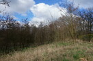 Działka budowlana w Janczewie - 3