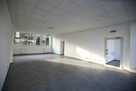 Lokal 88 mkw handlowo-usługowy w centrum Gorzowa - 1