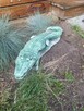 krokodyl ogrodowy figurka do ogrodu - 1