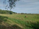 Działka na Mazurach warunkami zabudowy KW nieopodal jeziora - 5
