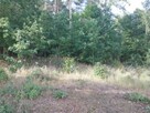 Działka na Mazurach warunkami zabudowy KW nieopodal jeziora - 7