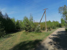 Działka Białasy gm. Szczutowo pow. sierpecki wz. mazowieckie - 4
