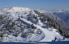 WLOCHY Free ski Val di Sole Karuzela 31.01-8.02.2025 ! - 2