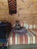 Tomek, mały, uroczy jamnik czekoladowy do adopcji 3l. 7kg - 4