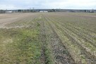 Działka w doskonałej lokalizacji-5 min. od Zalewu - 3
