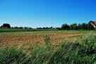 Działka Zemborzyce tereszyńskie - 4