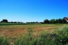 Działka Zemborzyce tereszyńskie - 5