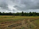 MINKOWICE: Działka budowlano -rolna + łąka. - 3