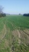 Jakubowice Kon. - Szeroka działka budowlana - 3