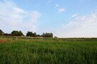 Działka Jakubowice konińskie - 2