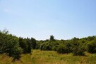 Działka na wzgórzu z pięknym widokiem-Snopków - 8