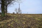Paulinów - Działka z Warunkami Zabudowy - 2