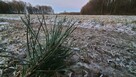 30a w doskonałej lokalizacji pod Kazimierzem D - 2