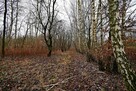 30a w doskonałej lokalizacji pod Kazimierzem D - 3