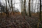 30a w doskonałej lokalizacji pod Kazimierzem D - 4