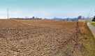 Tomaszowice - działka 20ar położona na wzniesieniu - 2