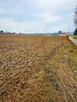 Tomaszowice - działka 20ar położona na wzniesieniu - 4