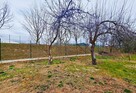 ROD ul.Wapienna-300m² działki+przyczepa kempingowa - 3