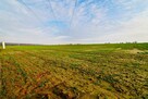 Działka rolno-budowlana - doskonała inwestycja! - 1