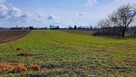 Działka pod zabudowę - Miłocin Kolonia - 47ar - 3