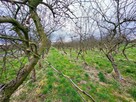 Motycz, - 30 ar - blisko szkoły, do wydzielenia - 2
