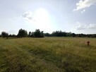 Działka budowlana rekreacyjna letniskowa rolna - 6