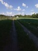 Działka budowlana rekreacyjna letniskowa rolna - 3