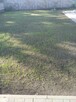 Zakładanie pielęgnacja ogrodów trawników - 2