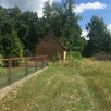Dom 80m2 do remontu ,rozbudowy działka z lasem budowlana - 4