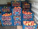 Jabłka i gruszki tanio sprzedam tel.515514800 - 5