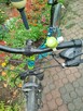 Rower Kellys naga - 3