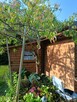 Domek całoroczny na działce ogrodowej ROD . - 2