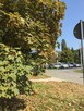 WYNAJMĘ BEZPOŚREDNIO KAWALERKĘ - WARSZAWA OCHOTA - 10