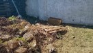 Oddam pieńki znalezione na nieruchomości - 4