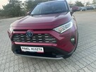 Toyota RAV-4 Salon Polska fv23% - 9