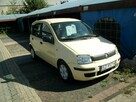 Fiat Panda - 1