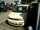 Fiat Panda - 2