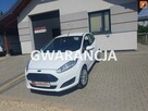 Ford Fiesta - 1