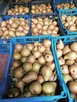 Gruszki klapsa cena 1,50 zł.Jabłka champion cena 1,50 zł - 3