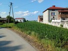 sprzedam działki rolno-budowlane - 2