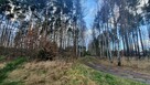 Działka budowlana Wiązowna - 13