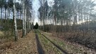 Działka budowlana Wiązowna - 15