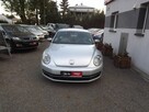 Volkswagen Beetle - 3